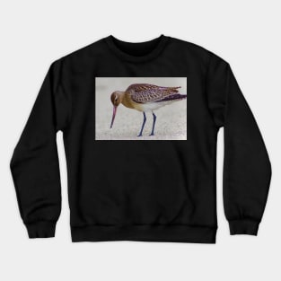 SOME BIRDS HAVE SEXY LEGS Crewneck Sweatshirt